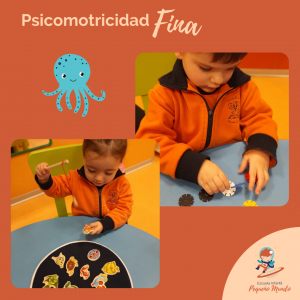 psicomotricidad fina