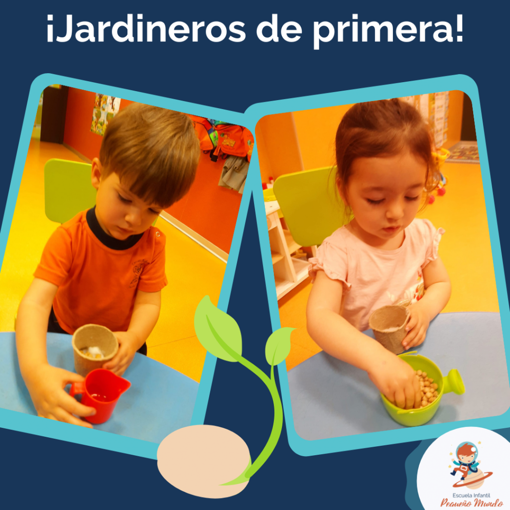 plantando semillas