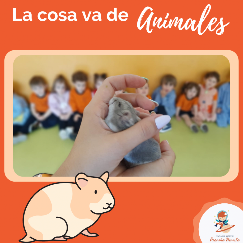 visita de un hamster a los alumnos
