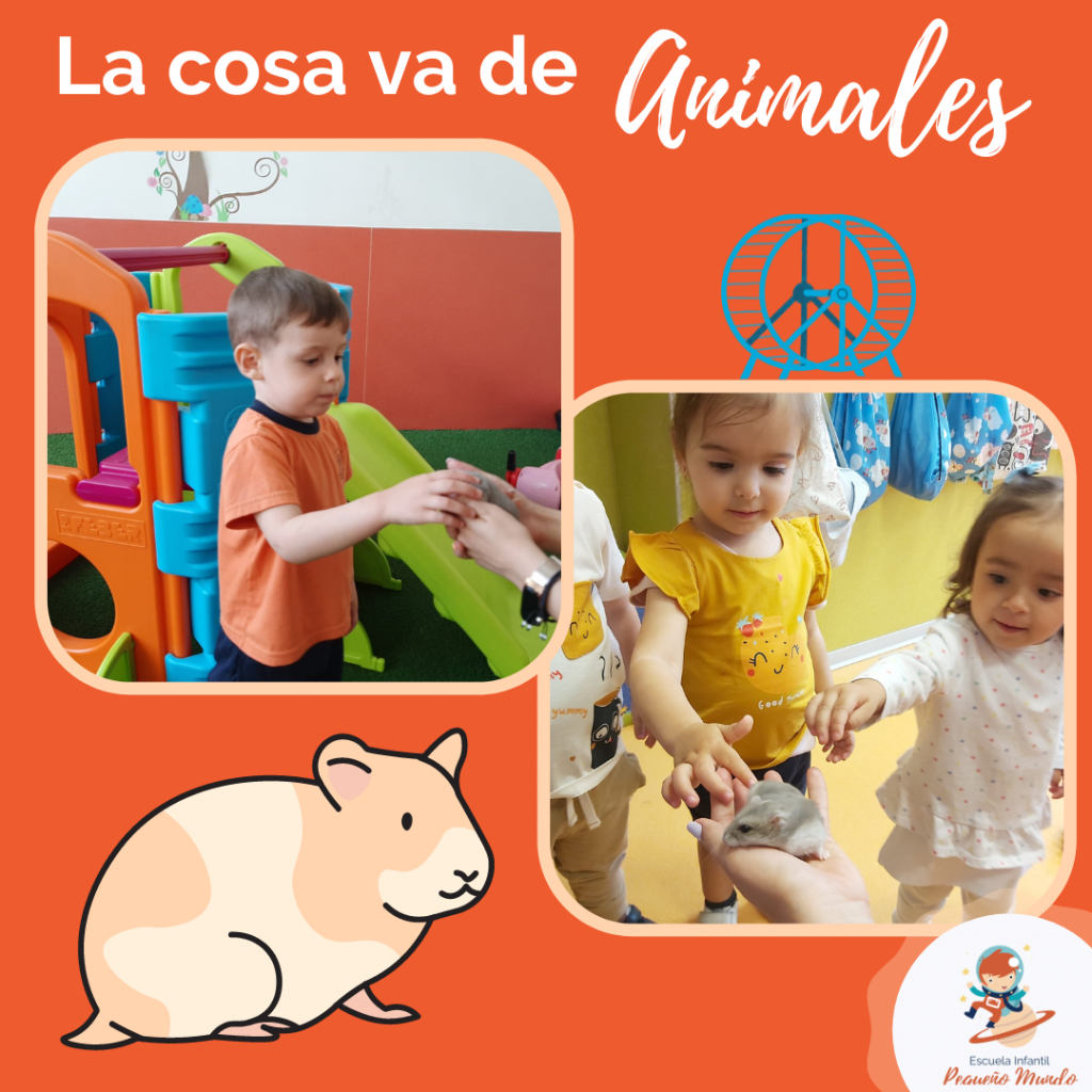 visita de un hamster a los alumnos